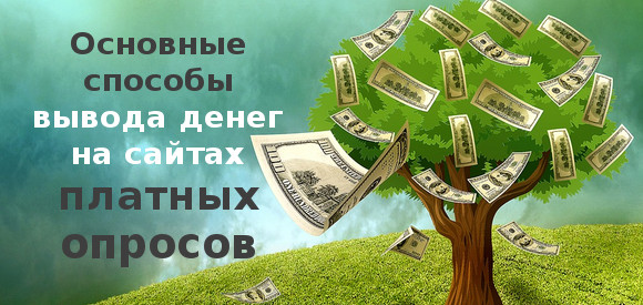 Как вывести заработанные на опросах деньги.